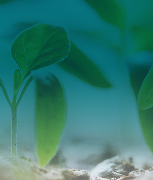 2025國產(chǎn)土壤養(yǎng)分檢測儀品牌力榜單出爐 云唐領(lǐng)銜行業(yè)創(chuàng)新